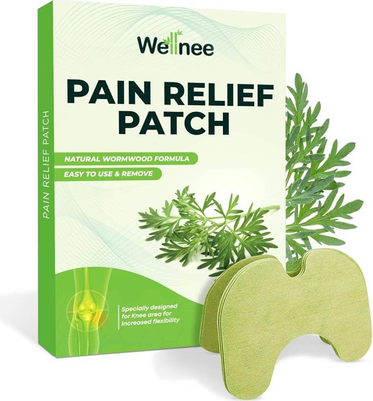 Wellnee Pain Relief Patch Verpackung mit Wermut-Zweigen und Pflastern